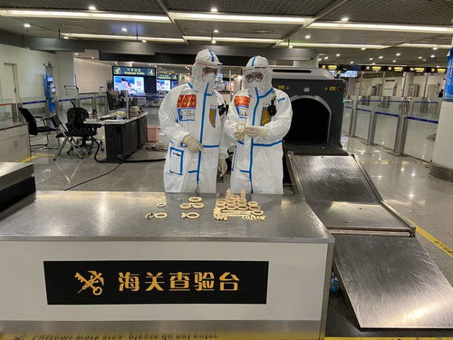 警惕！回蓉旅客攜帶象牙手鐲被成都海關查獲，教學模型制造需守法規